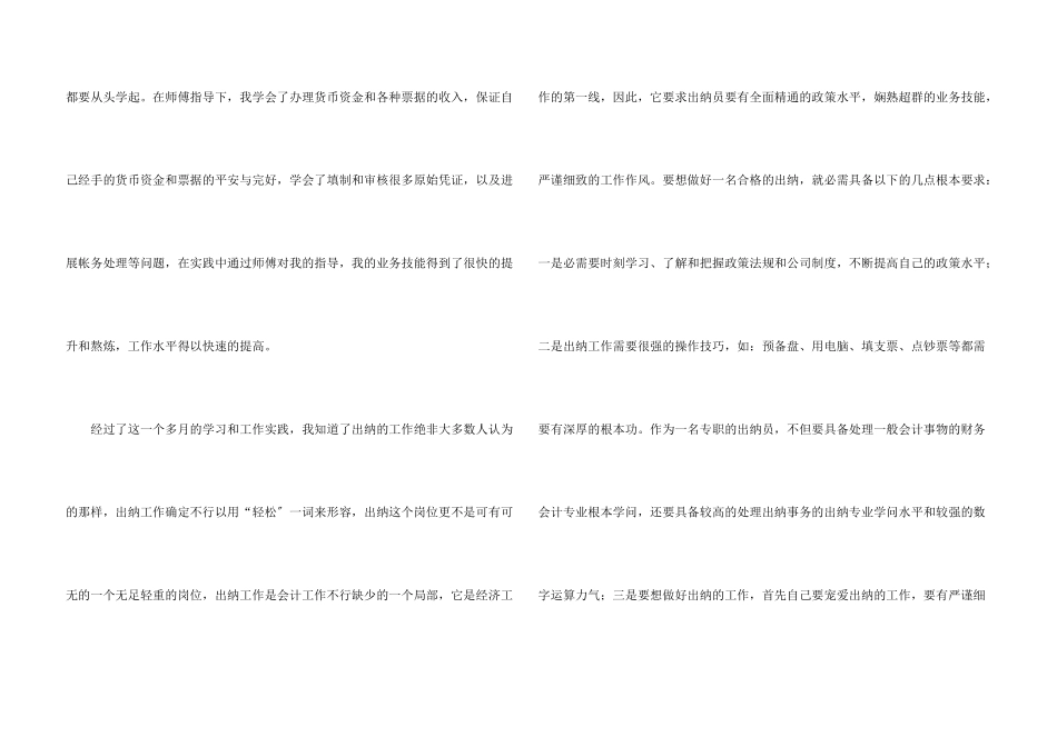 出纳个人实习心得体会_第3页