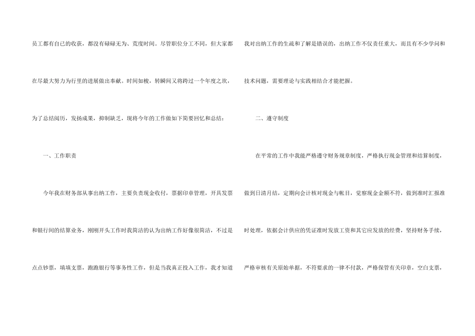 出纳个人工作总结集锦八篇_第2页