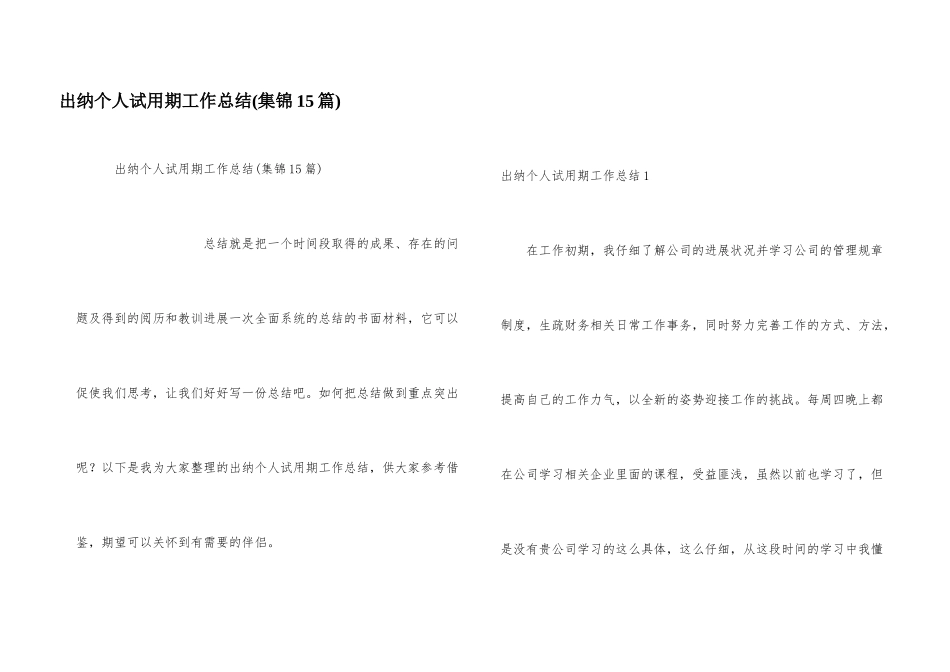 出纳个人试用期工作总结_第1页