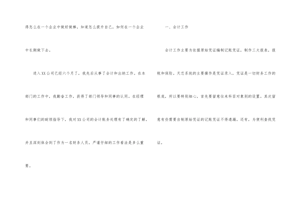 出纳个人试用期工作总结_第2页
