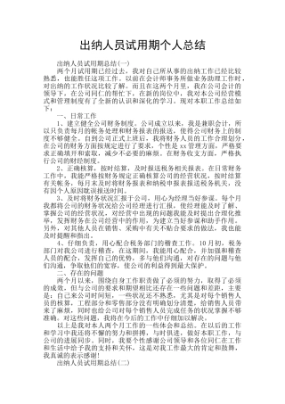 出纳人员试用期个人总结
