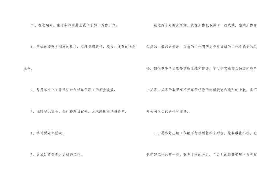 出纳人员的试用期工作总结_第2页