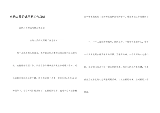 出纳人员的试用期工作总结