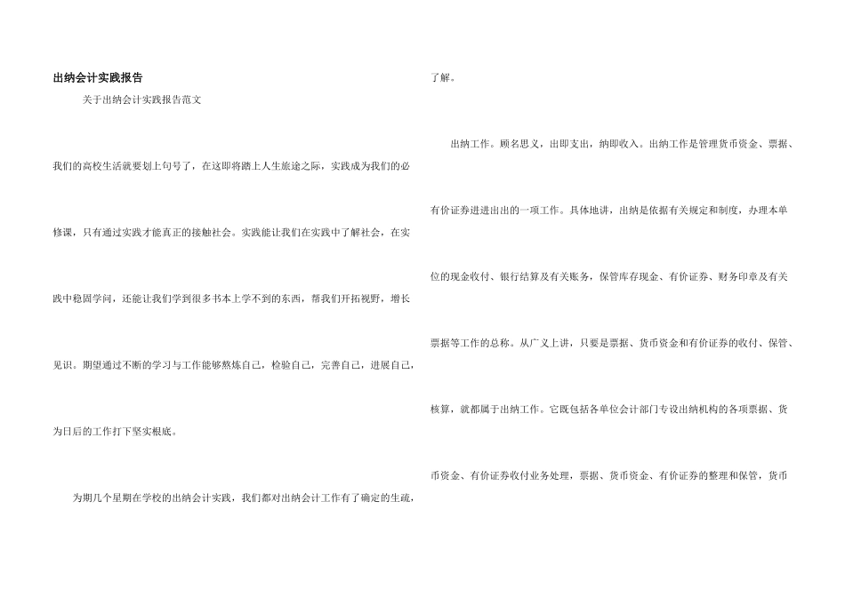 出纳会计实践报告_第1页