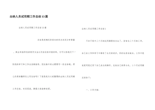 出纳人员试用期工作总结13篇