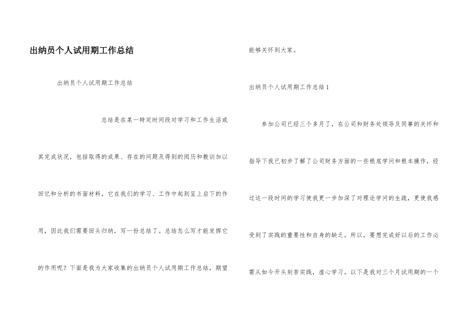 出纳员个人试用期工作总结_第1页
