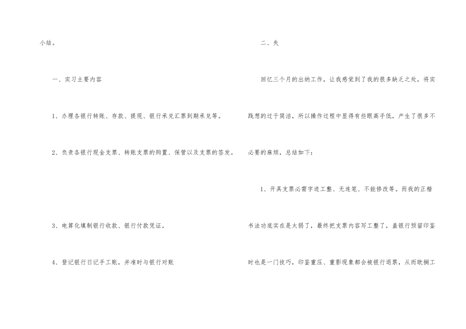 出纳员个人试用期工作总结_第2页