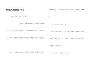 出纳实习生自我工作总结