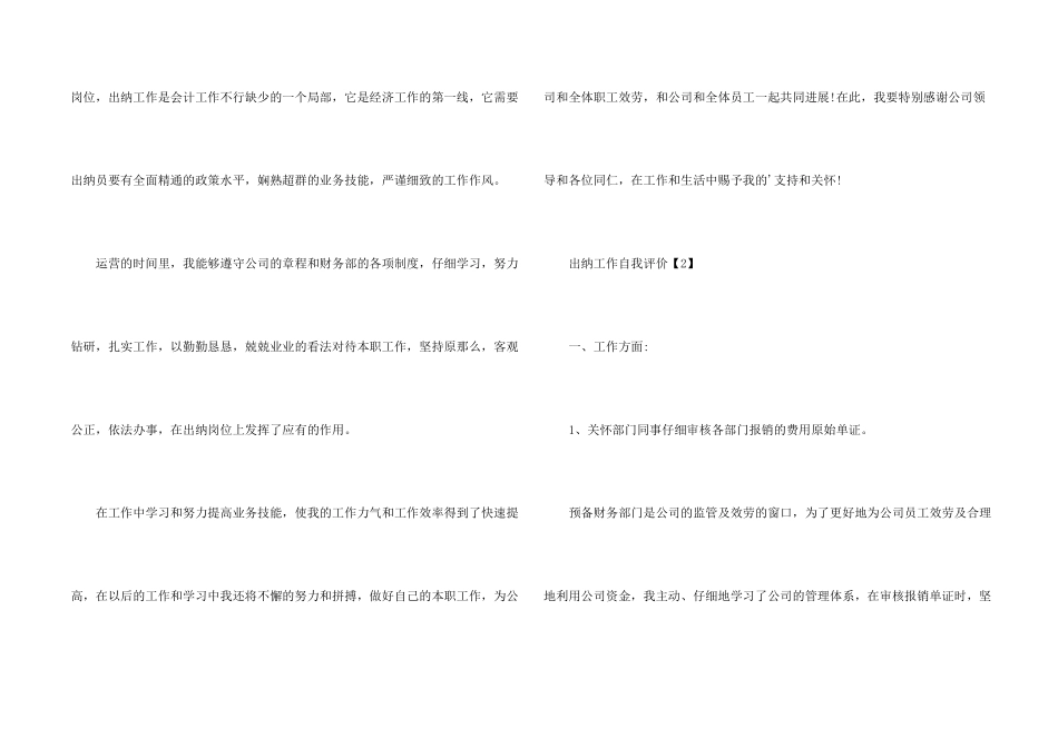 出纳岗位自我评价_第2页