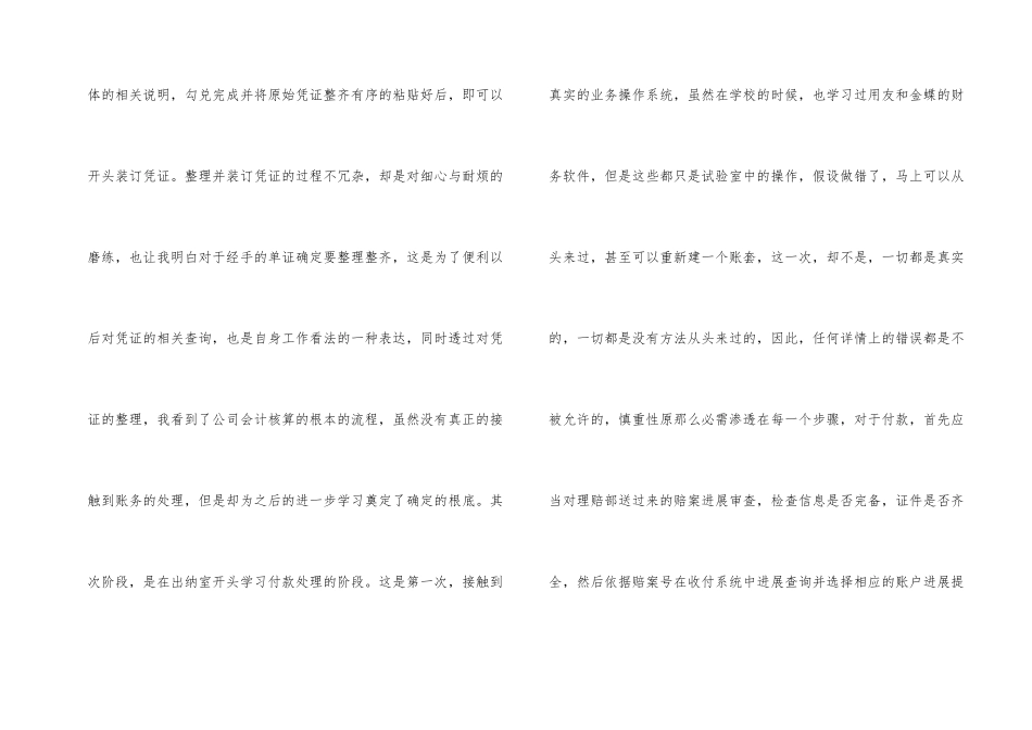 出纳岗试用期工作总结_第2页