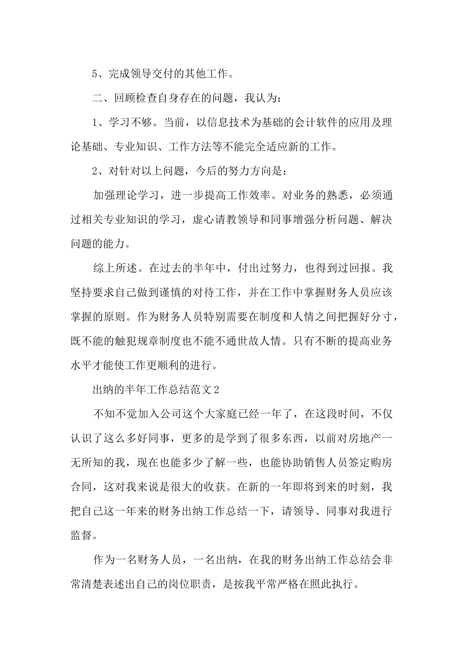 出纳的半年工作总结范文_第2页