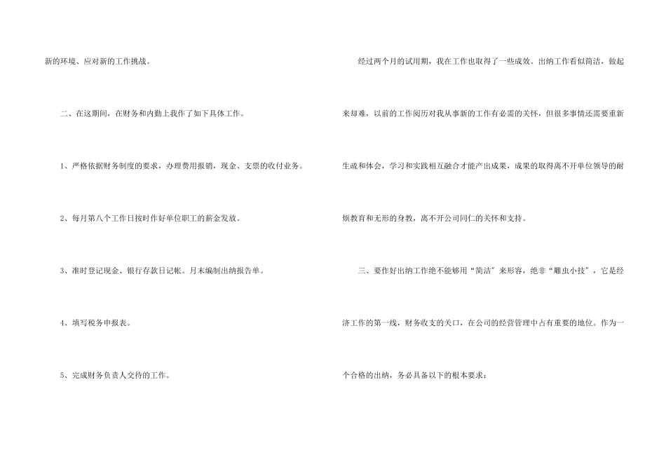 出纳试用期个人工作总结_第2页