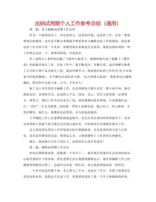 出纳试用期个人工作参考总结通用