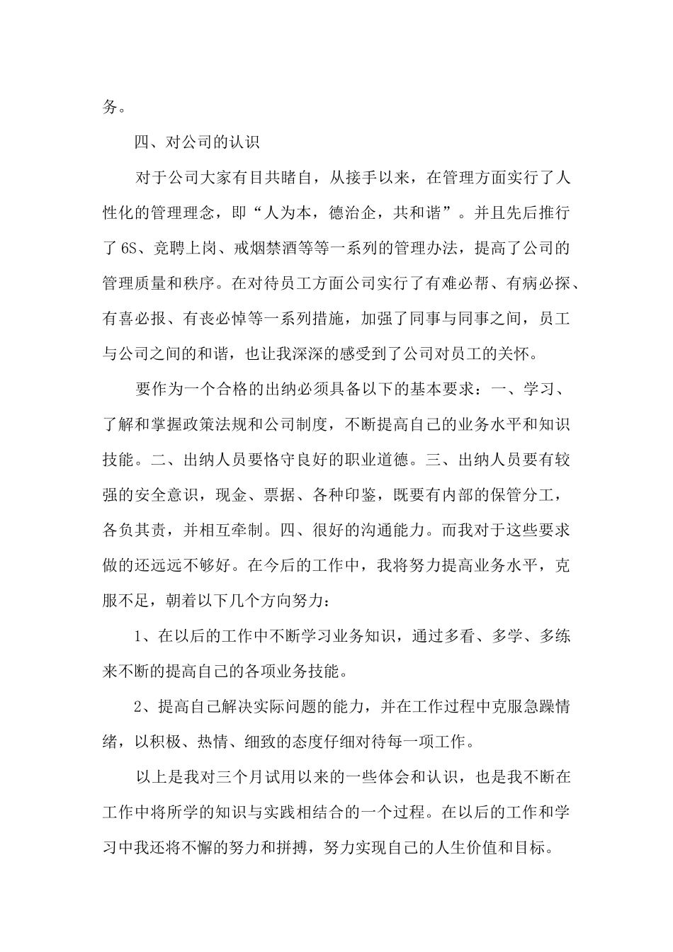 出纳试用期个人总结5篇范文_第3页