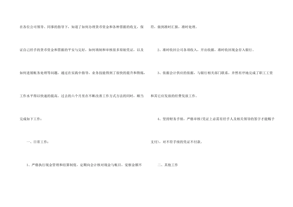 出纳试用期工作总结10篇_第2页