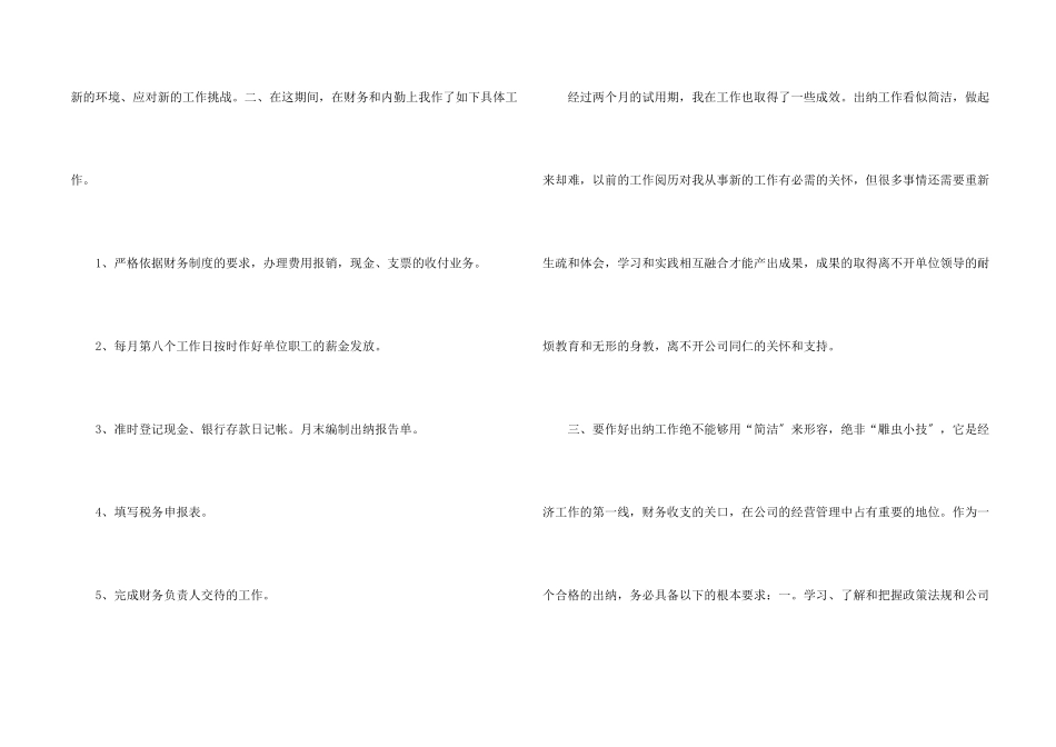 出纳试用期工作总结_第2页
