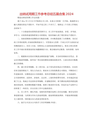 出纳试用期工作参考总结五篇合集