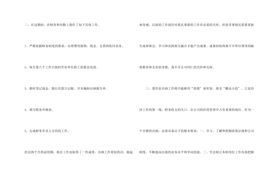 出纳试用期工作总结7篇_第2页