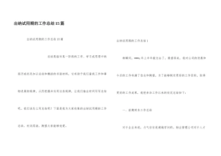 出纳试用期的工作总结15篇