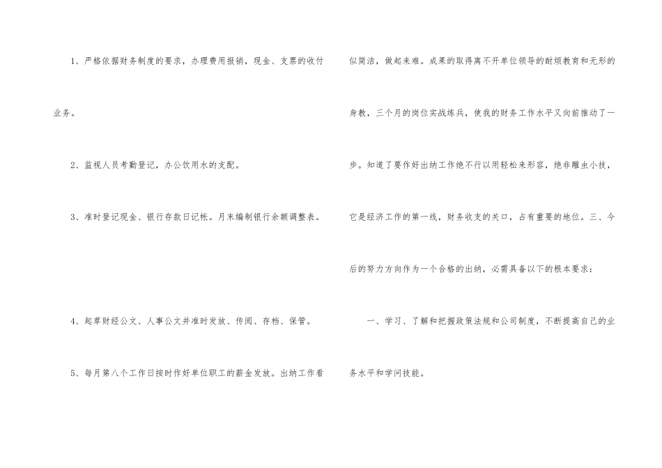 出纳试用期的工作总结_第3页