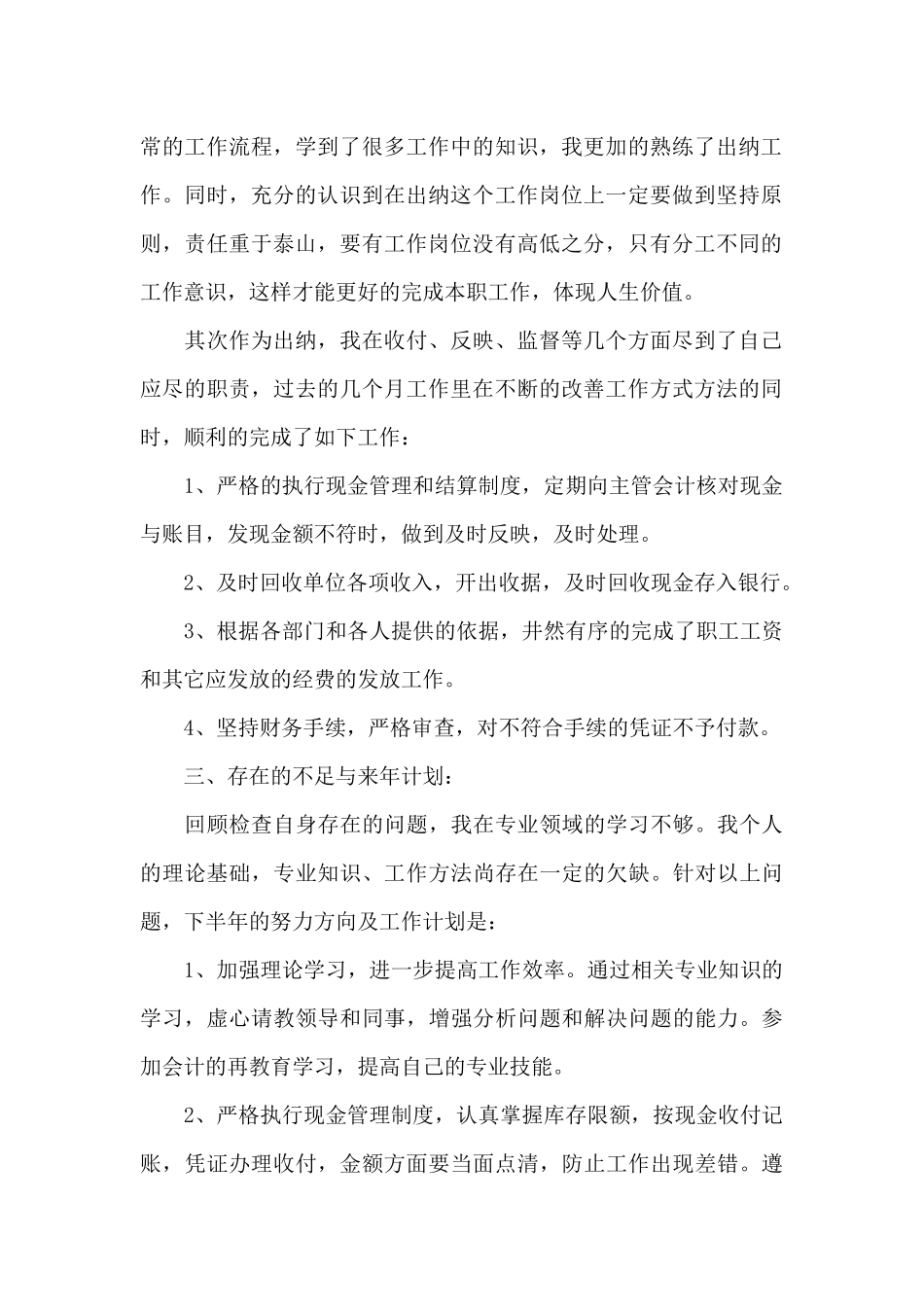 出纳试用期工作总结(集合1)_第2页