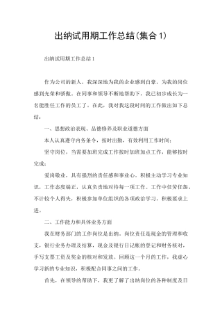 出纳试用期工作总结(集合1)