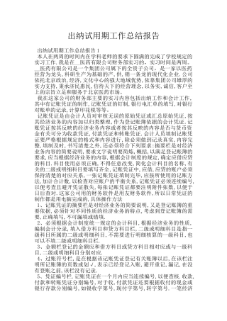 出纳试用期工作总结报告