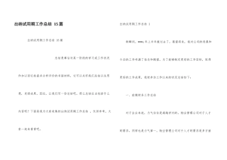 出纳试用期工作总结-15篇