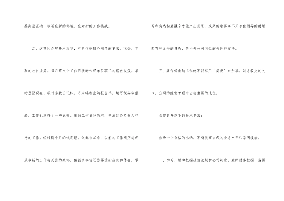 出纳试用期工作总结（7篇）_第2页