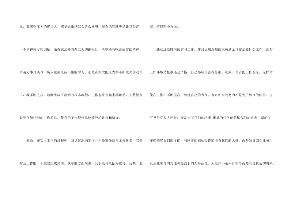出纳顶岗实习工作总结5篇_第2页