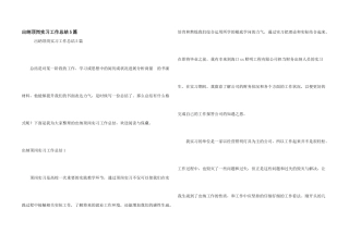 出纳顶岗实习工作总结5篇