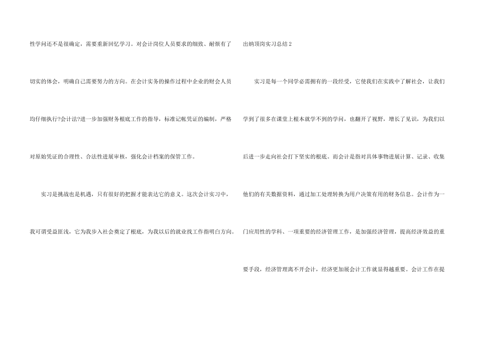 出纳顶岗实习总结_第3页