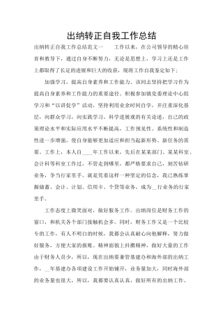 出纳转正自我工作总结