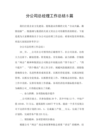 分公司总经理工作总结5篇
