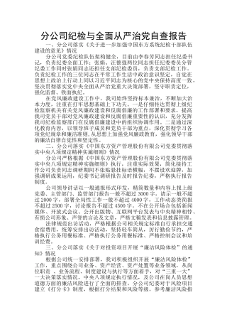 分公司纪检与全面从严治党自查报告