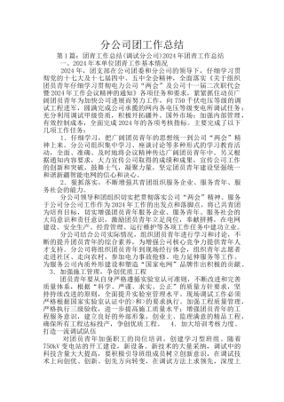 分公司团工作总结