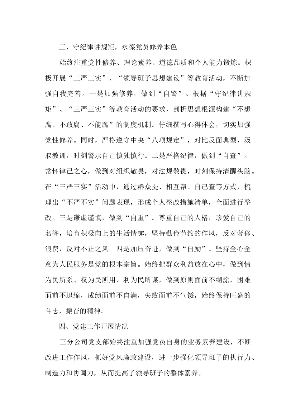 分公司领导述职述廉述责报告_第3页