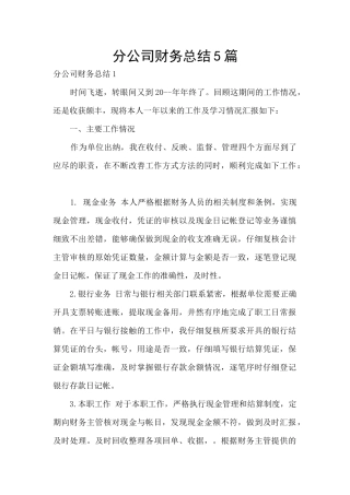 分公司财务总结5篇