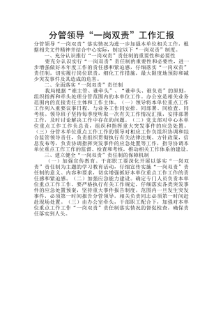 分管领导“一岗双责”工作汇报