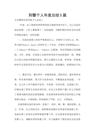刑警个人年度总结5篇