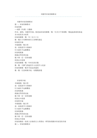 刘德华回家的路歌词