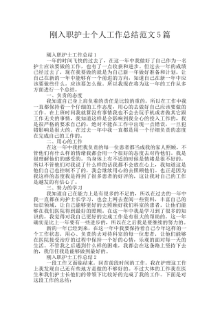 刚入职护士个人工作总结范文5篇