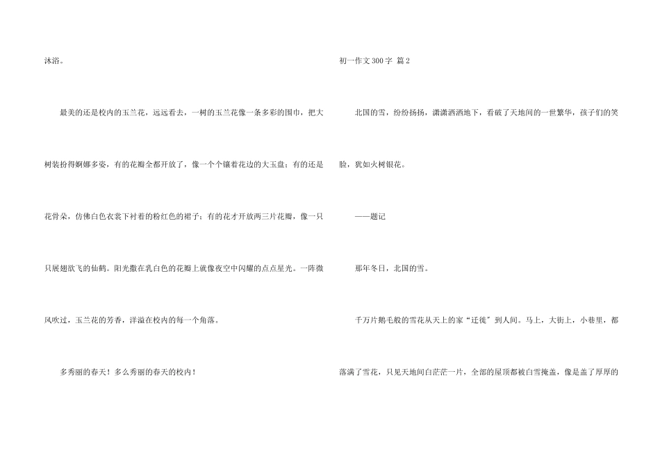 初一300字锦集八篇_第2页