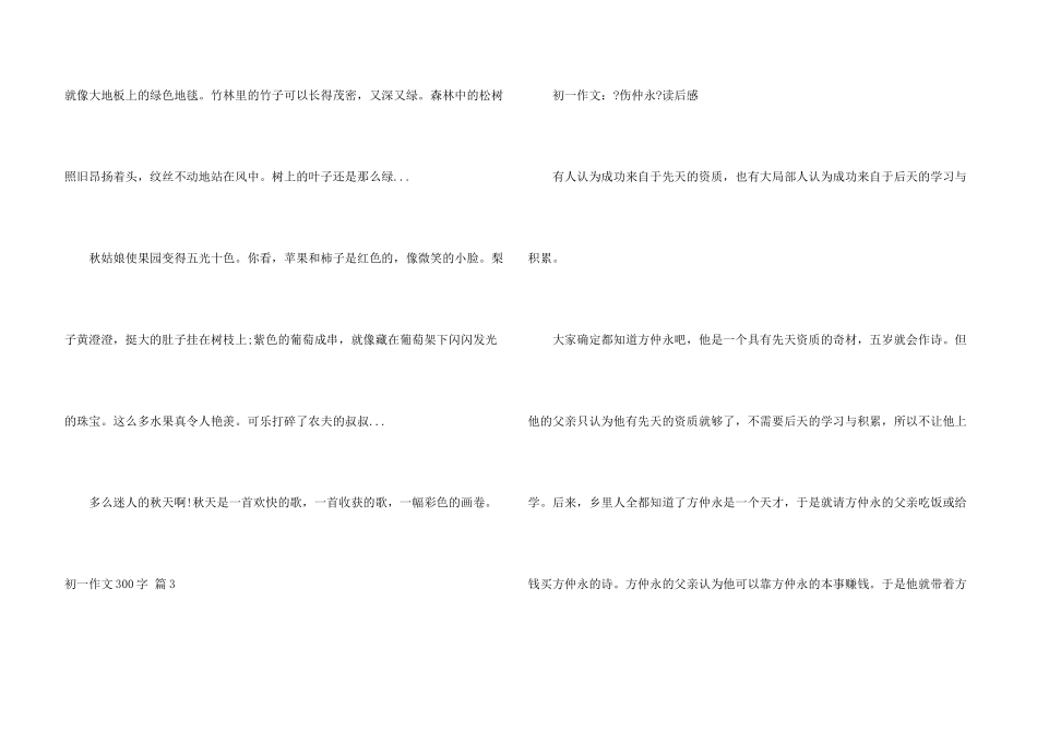 初一300字汇编七篇_第3页