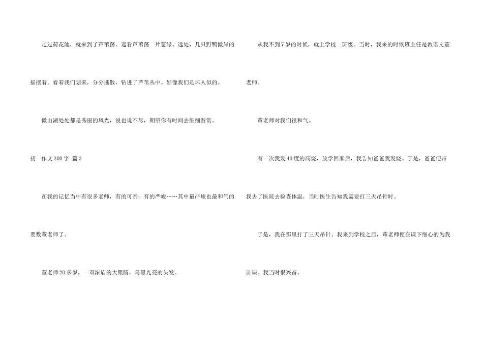 初一300字集合九篇_第3页
