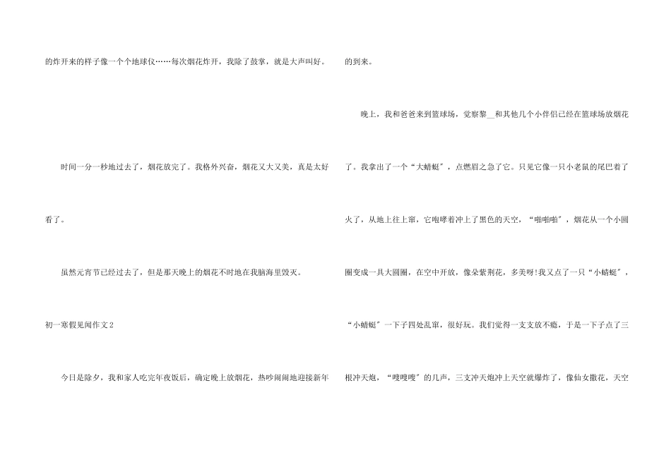 初一寒假见闻_第2页