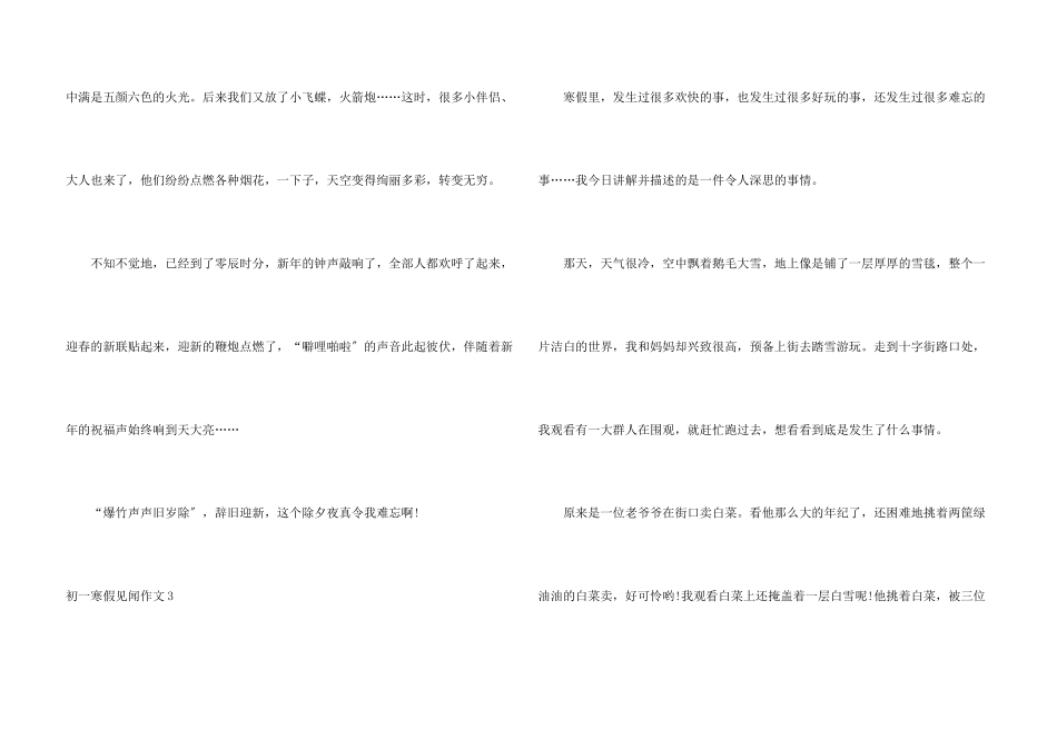 初一寒假见闻_第3页