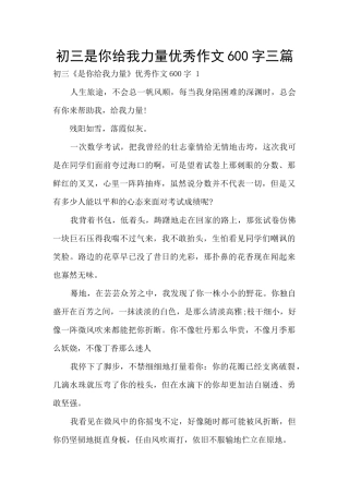 初三是你给我力量优秀作文600字三篇