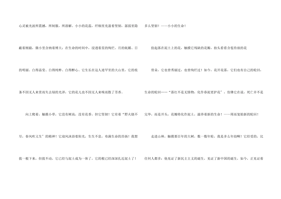 初二锦集五篇_第2页