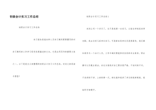 初级会计实习工作总结